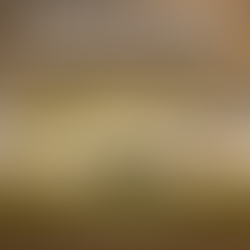 Applied Atomics Joins USA BioEnergy Project in Bon Wier, Bringing Clean Nuclear Power to Newton County