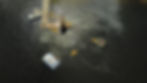 dji_export_1657566298409.jpg
