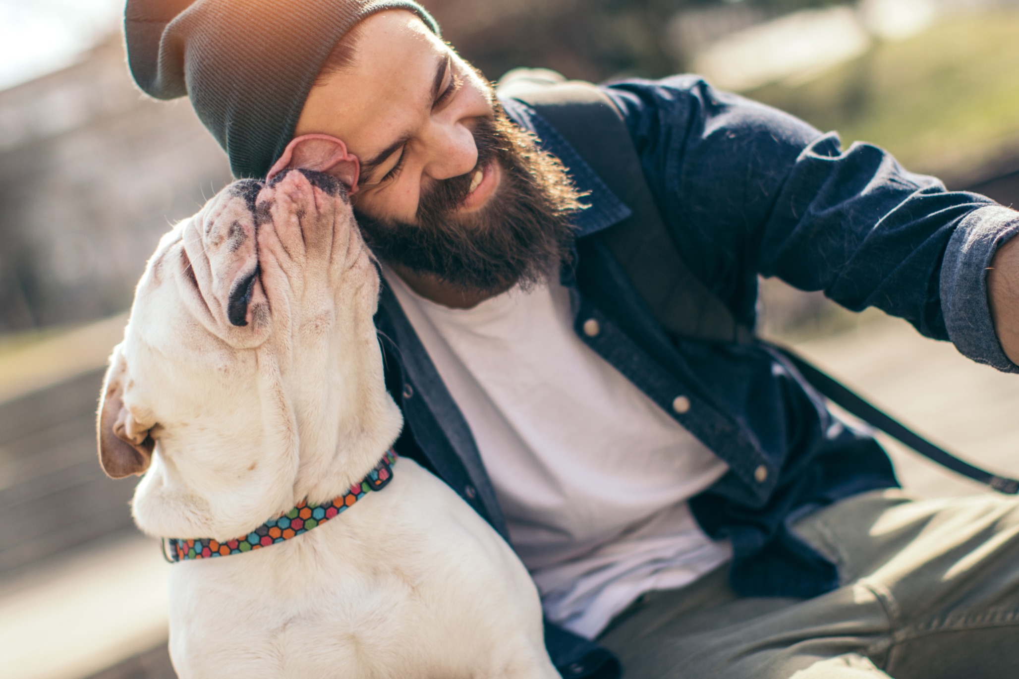 Hipster man with beard and beanie hugging his white English Bulldog, showing connection and progress after custom behavior tr