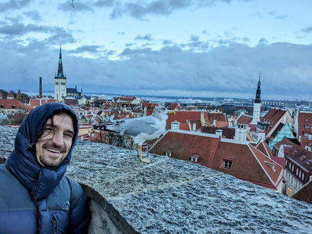 Tallinn, You're Beautiful - But You Already Know That, Don't You?