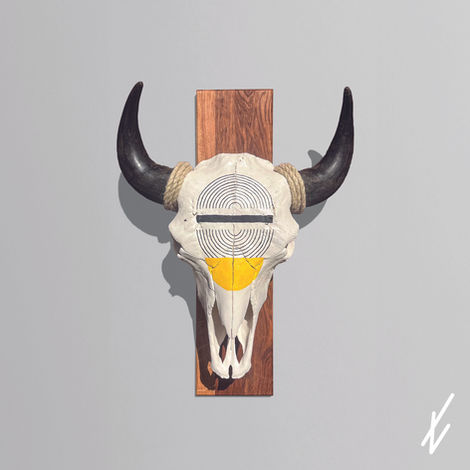 Bisonschädel