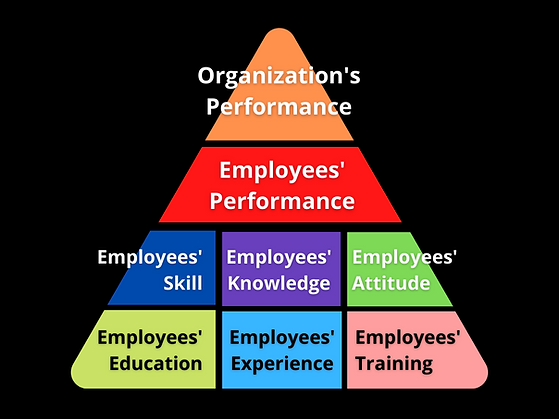 Organization's Performance.png