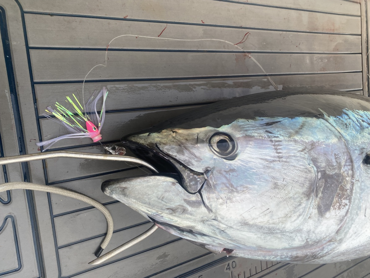 2oz HooHead - Pin Rigged