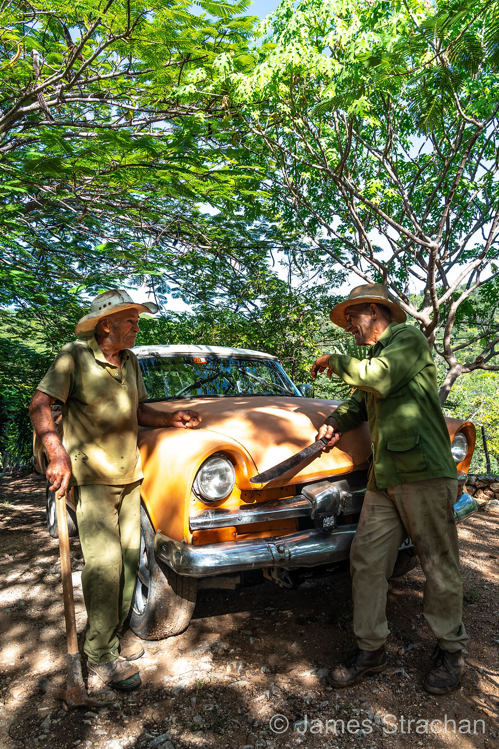 Cowboys in debate, Trinidad