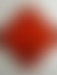 Con-struction by Alex Maeve Campbell