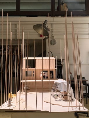 Little Freaks Building a Freak Home: My Freak Future By Benny VanLandschoot