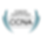ccna_600.png