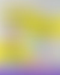 Plant based ultra-processed food diets raise cardiovascular disease risk