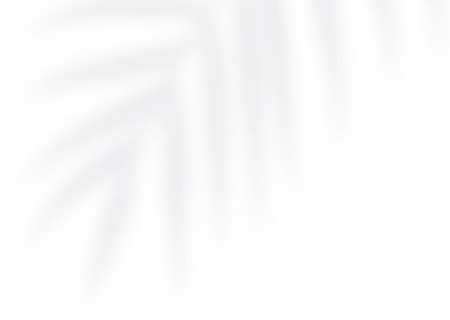 intro-content-palm.jpg