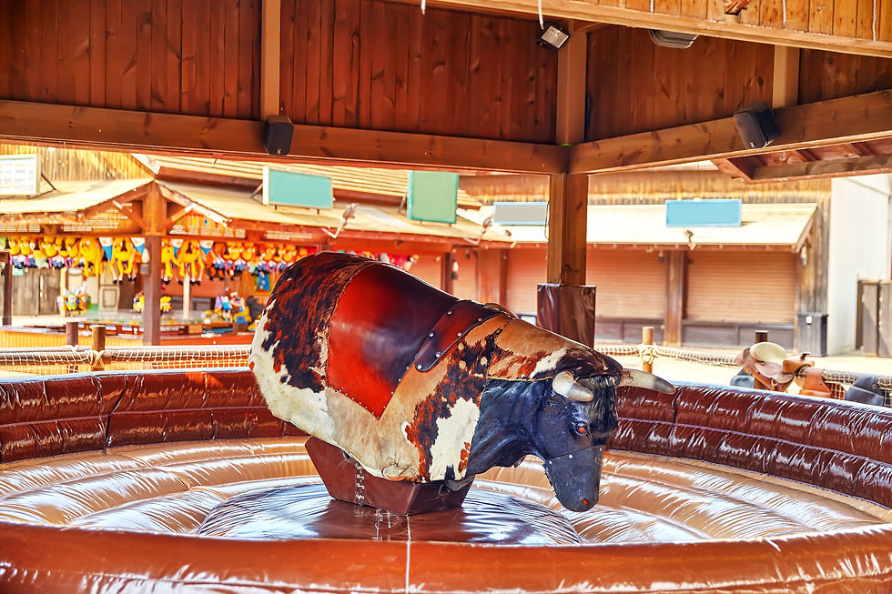 ride-bull
