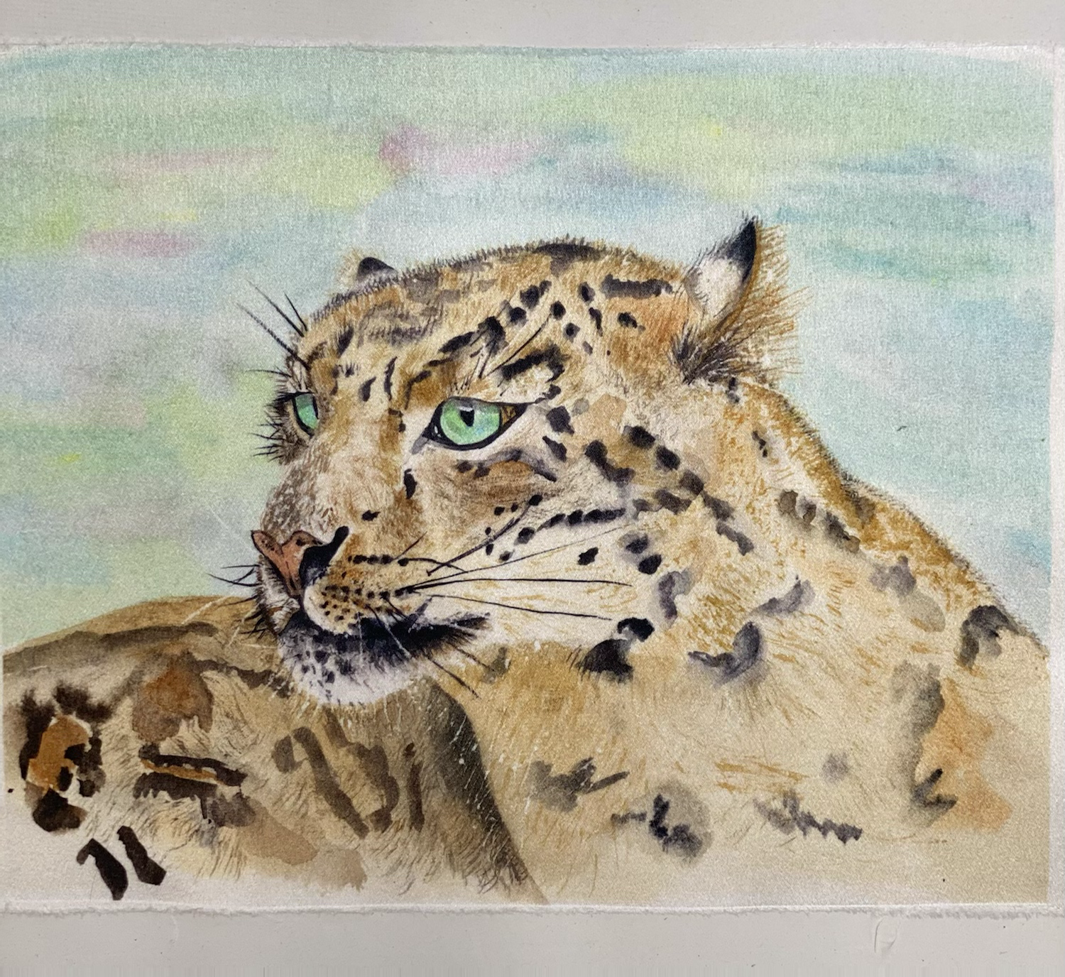 Leopard - (choose paler or darker)