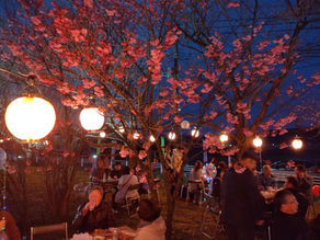 《まほろば街道 観桜会》