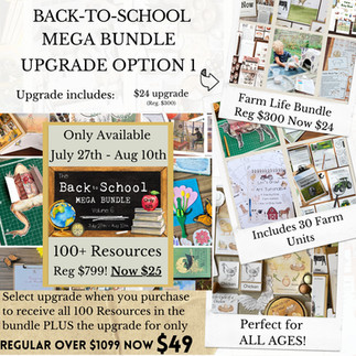 Back to School Bundle