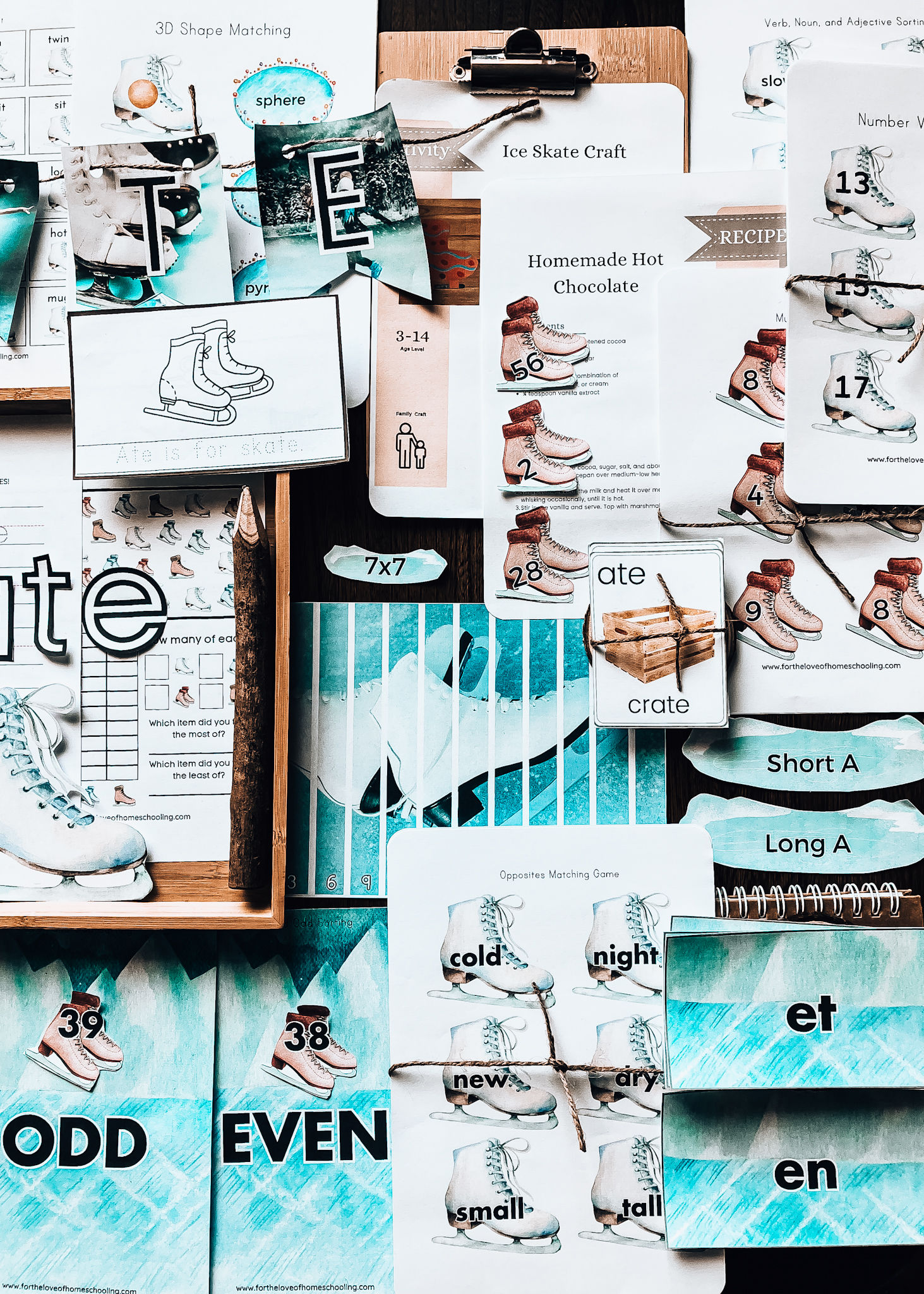 The ATE Word Family Pack