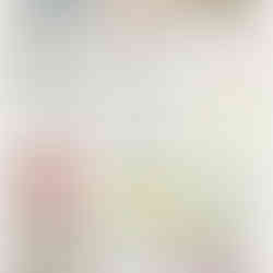 Insect Scavenger Hunt