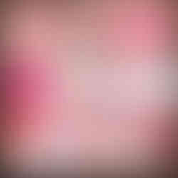 Valentine Mini Bundle