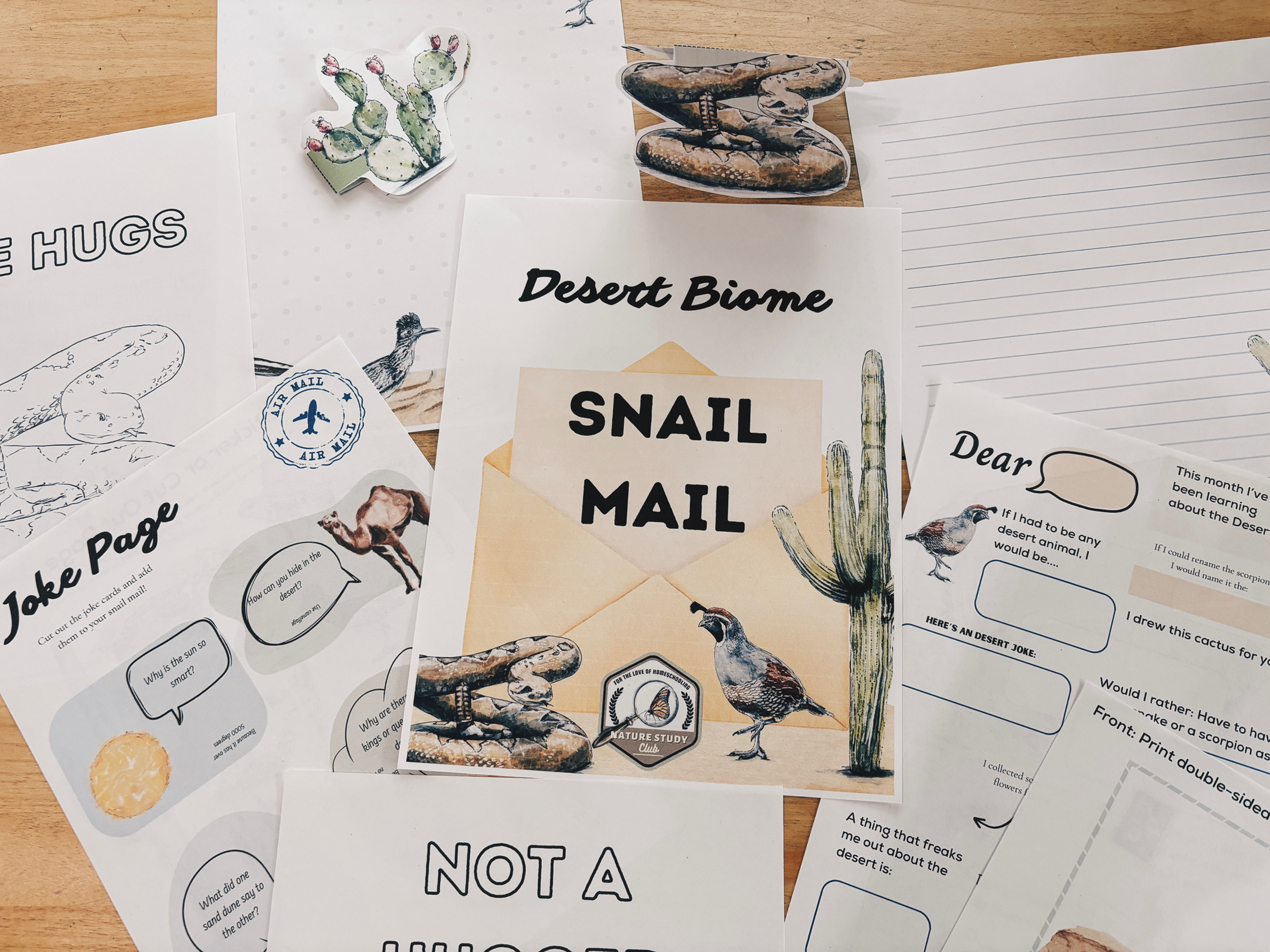 Snail Mail Desert