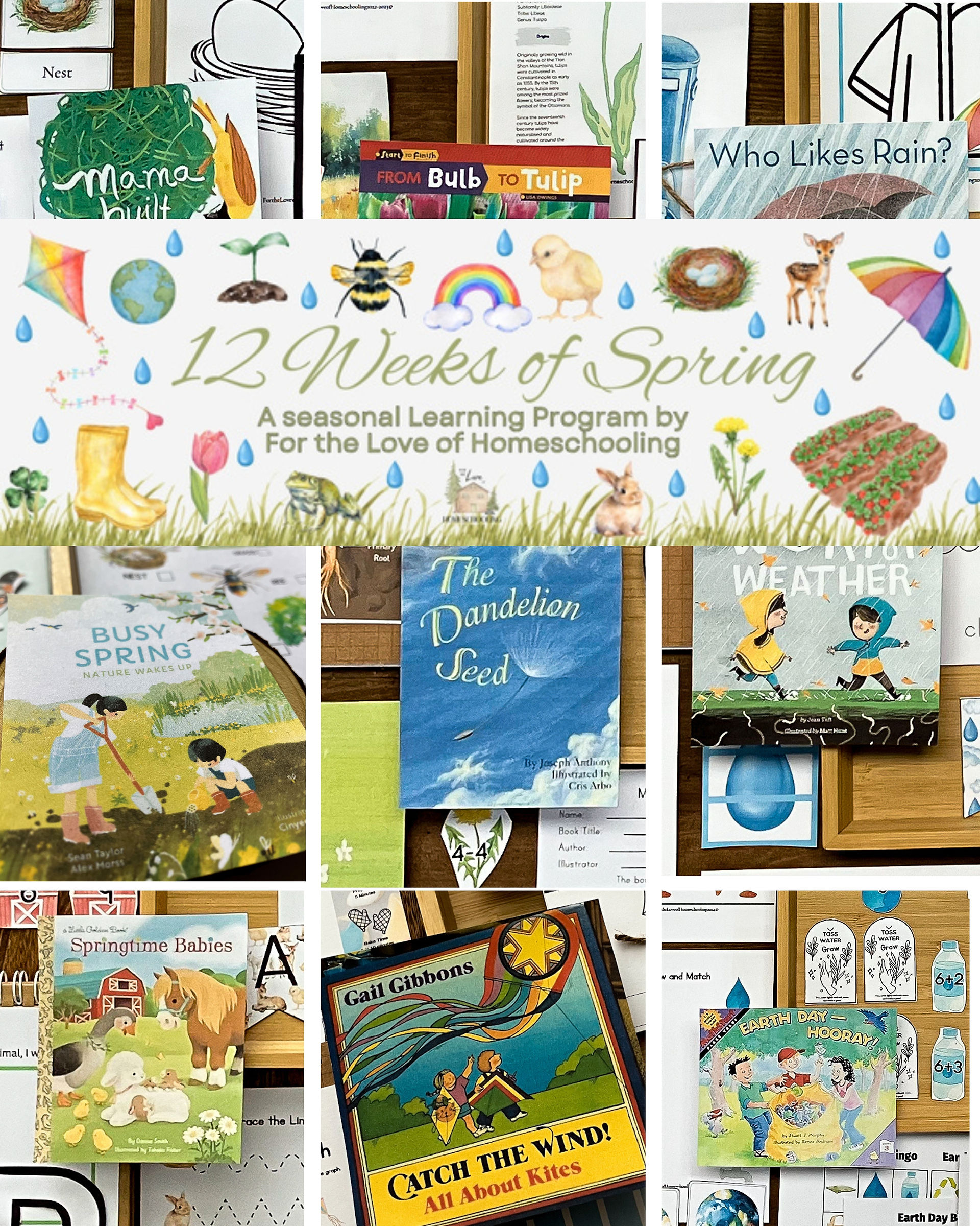 12 Weeks of Spring