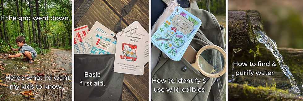 Survival Bundle