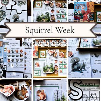 Squirrel Week