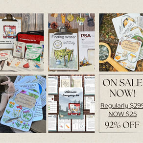 Wilderness Survival for Kids: A Complete Homeschool Curriculum Guide