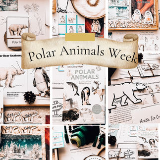 12 Weeks of Winter