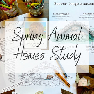 Spring Animal Homes Nature Study