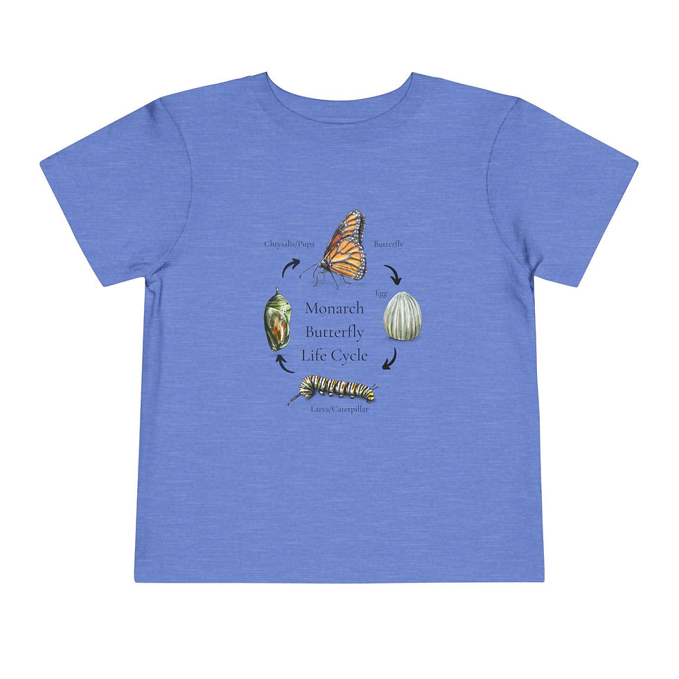 Thumbnail: Monarch Lifecycle Toddler Short Sleeve Tee 2T - 5T
