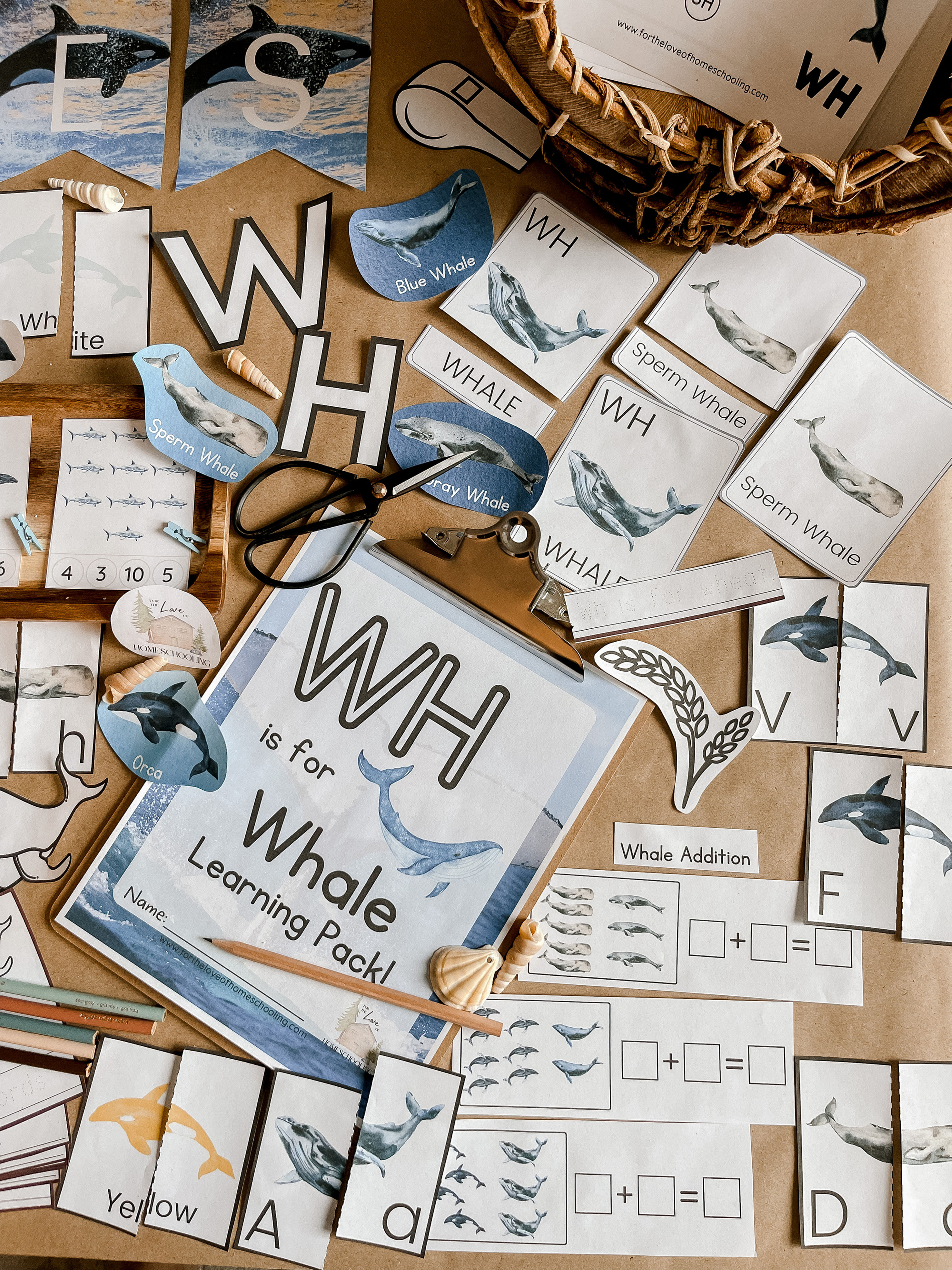 WH is for Whale