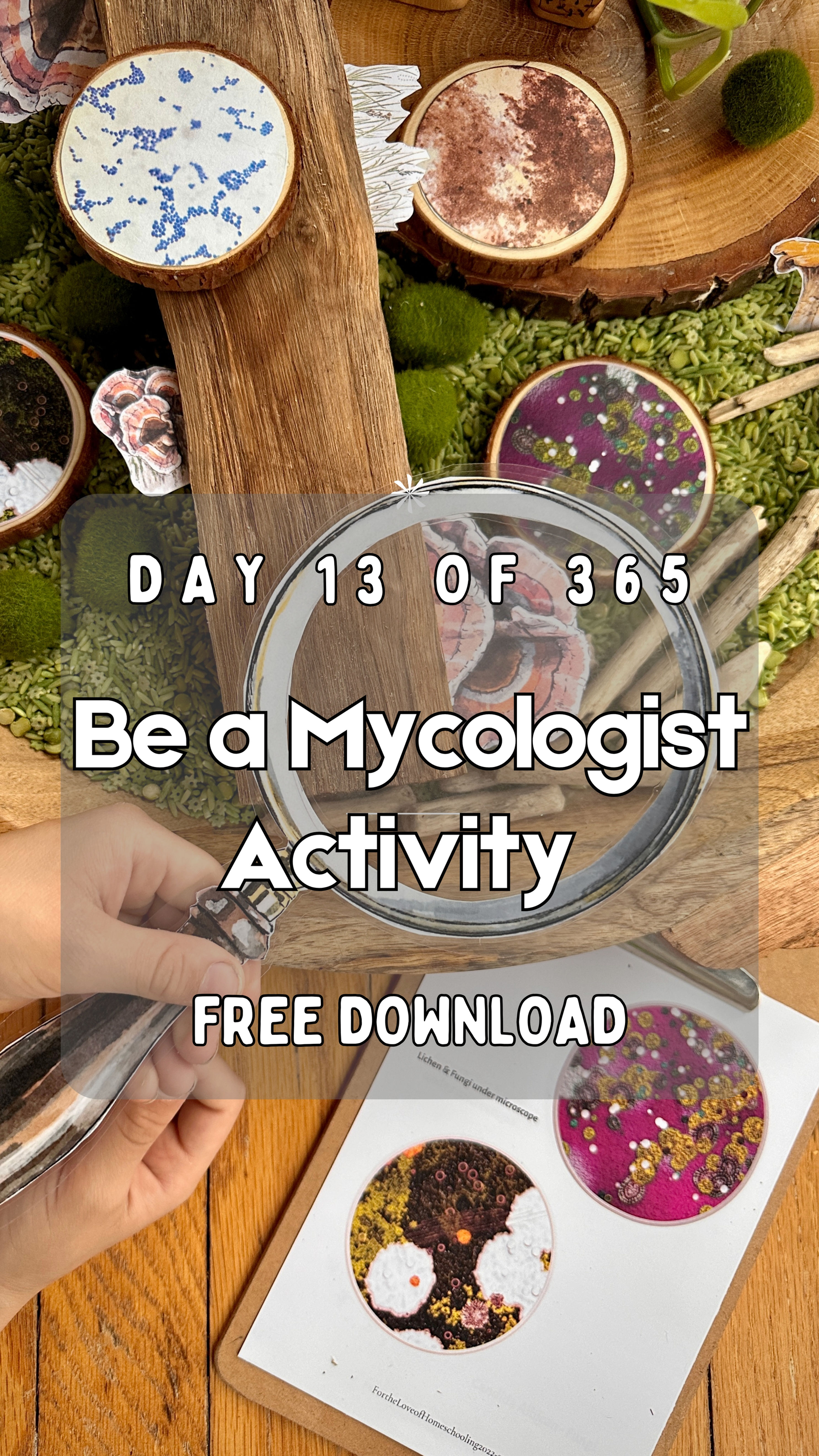 Be a Mycologist Activity FTLOH