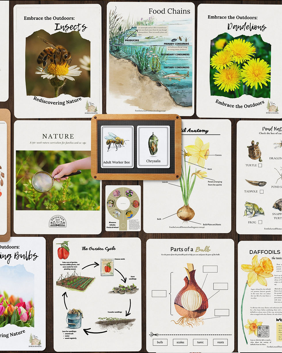 A homeschool mega bundle image