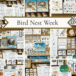 Bird Nest Week