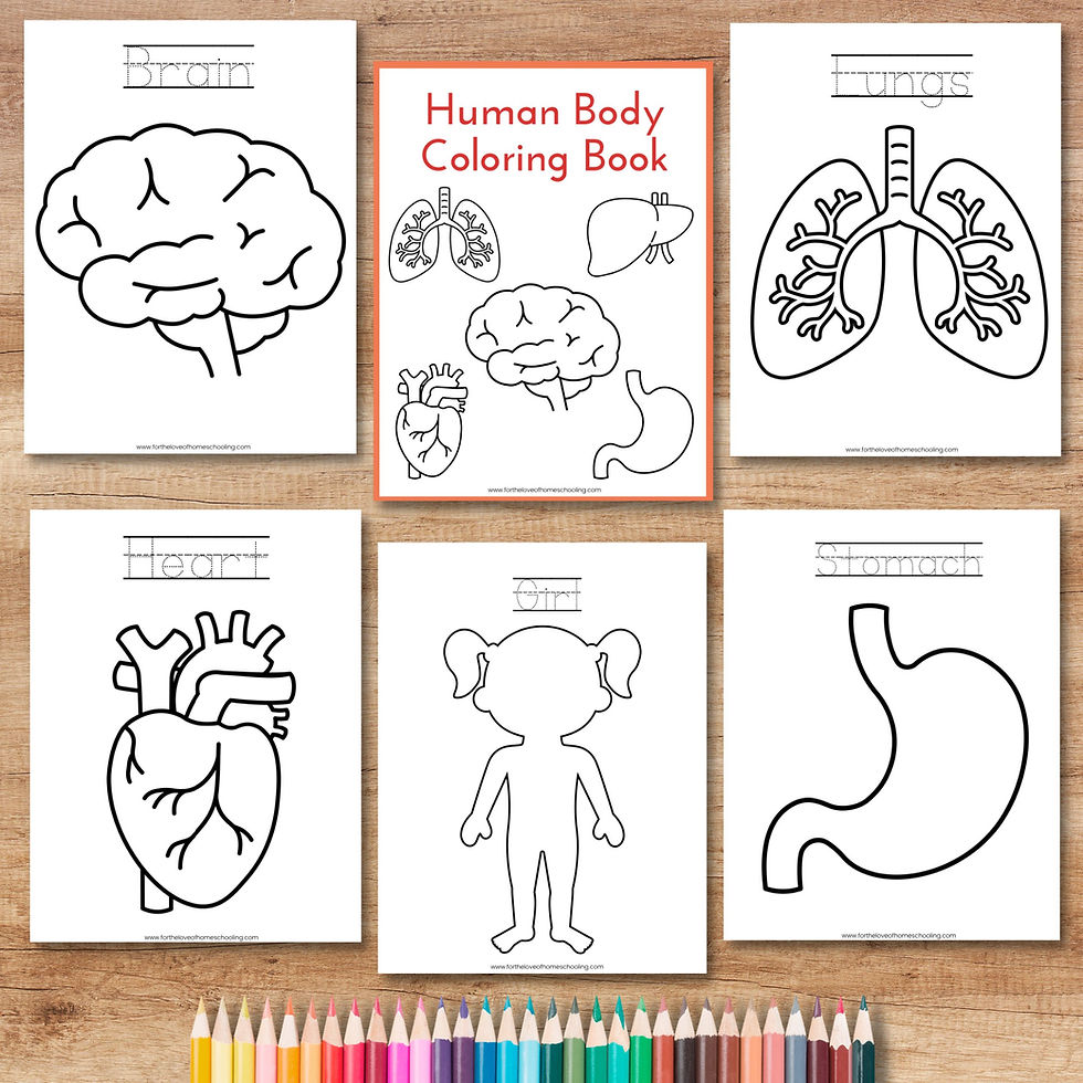 Human Body Coloring Book by For the Love of Homeschooling | FTL of ...
