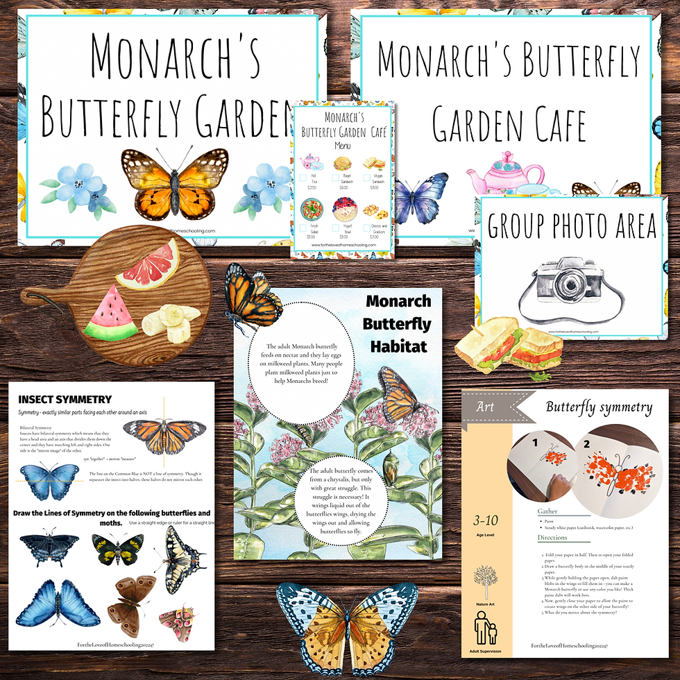 Butterfly Pretend & STEM Kit FTL of Homeschooling
