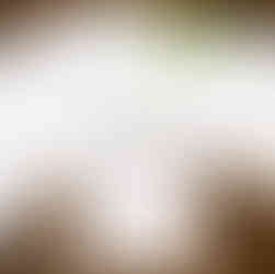 Nature Drawing Art Tutorial