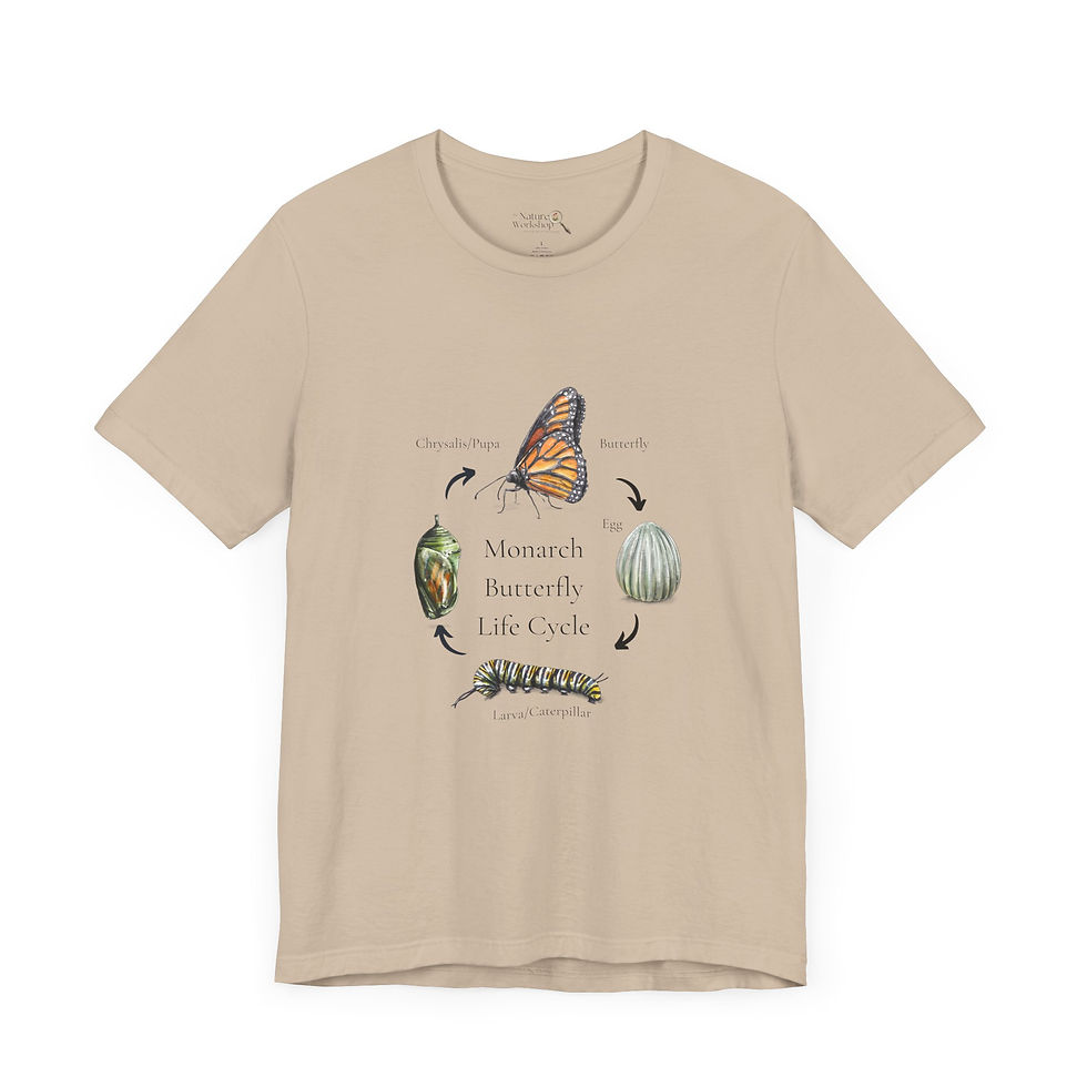 Thumbnail: Adult Monarch Life Cycle Unisex Jersey Short Sleeve Tee