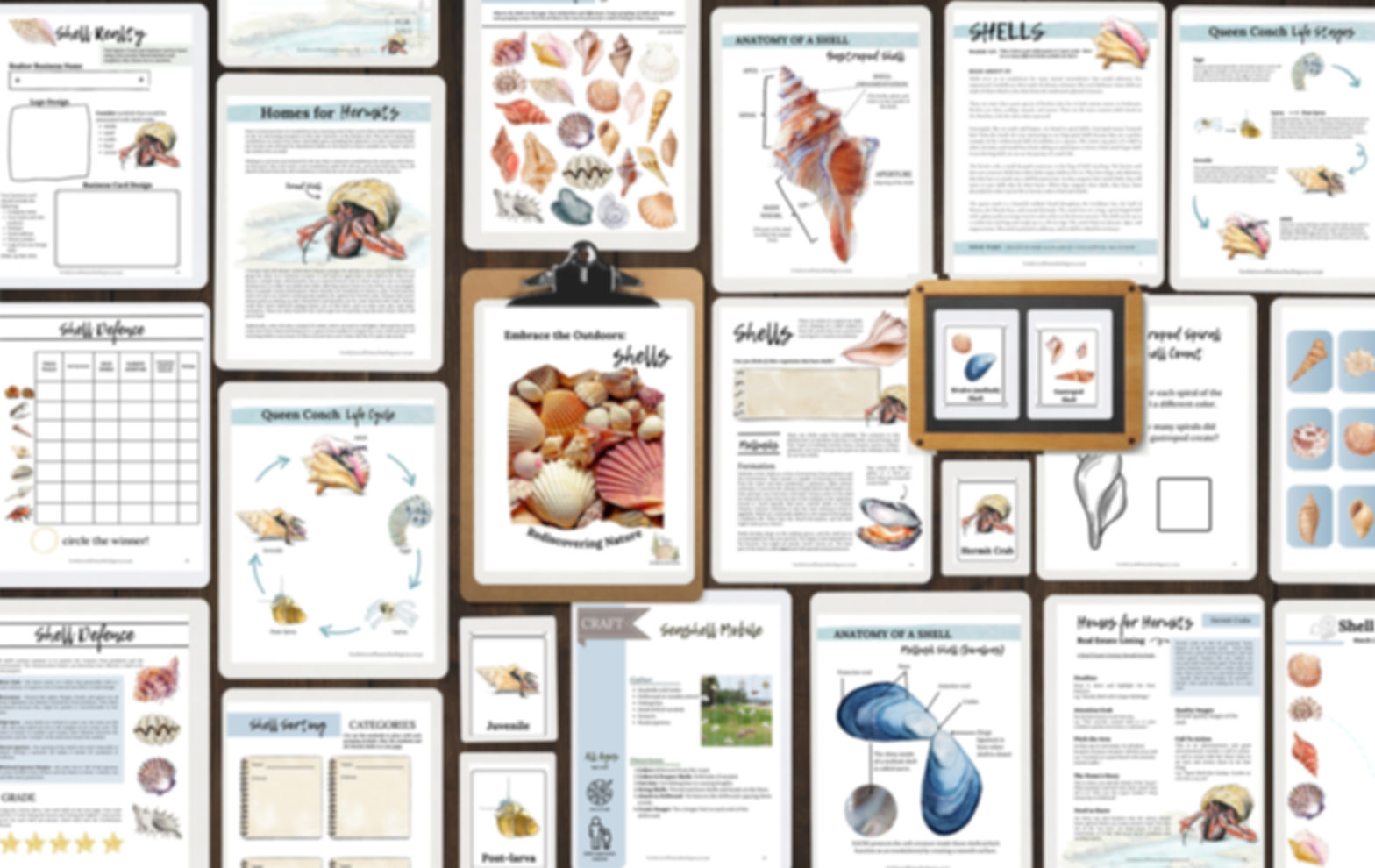 Embrace the Outdoors: Shells