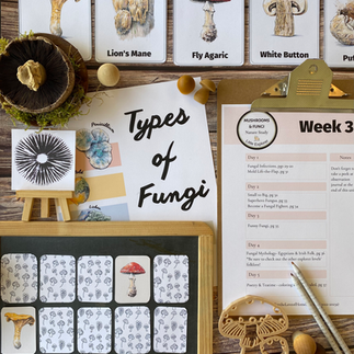 Types of Fungi Freebie