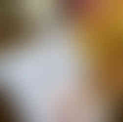 Let's Make Sourdough Unit