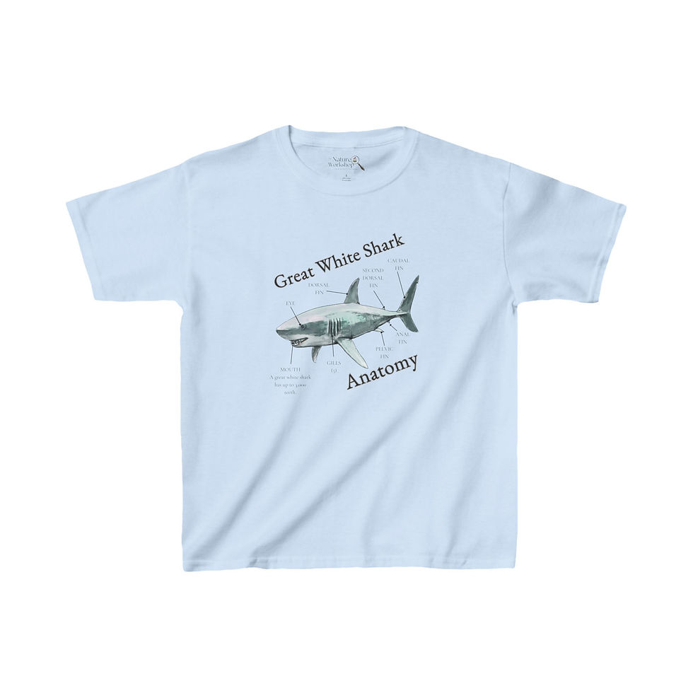 Thumbnail: Great White Shark Anatomy LC Kids Heavy Cotton™ Tee