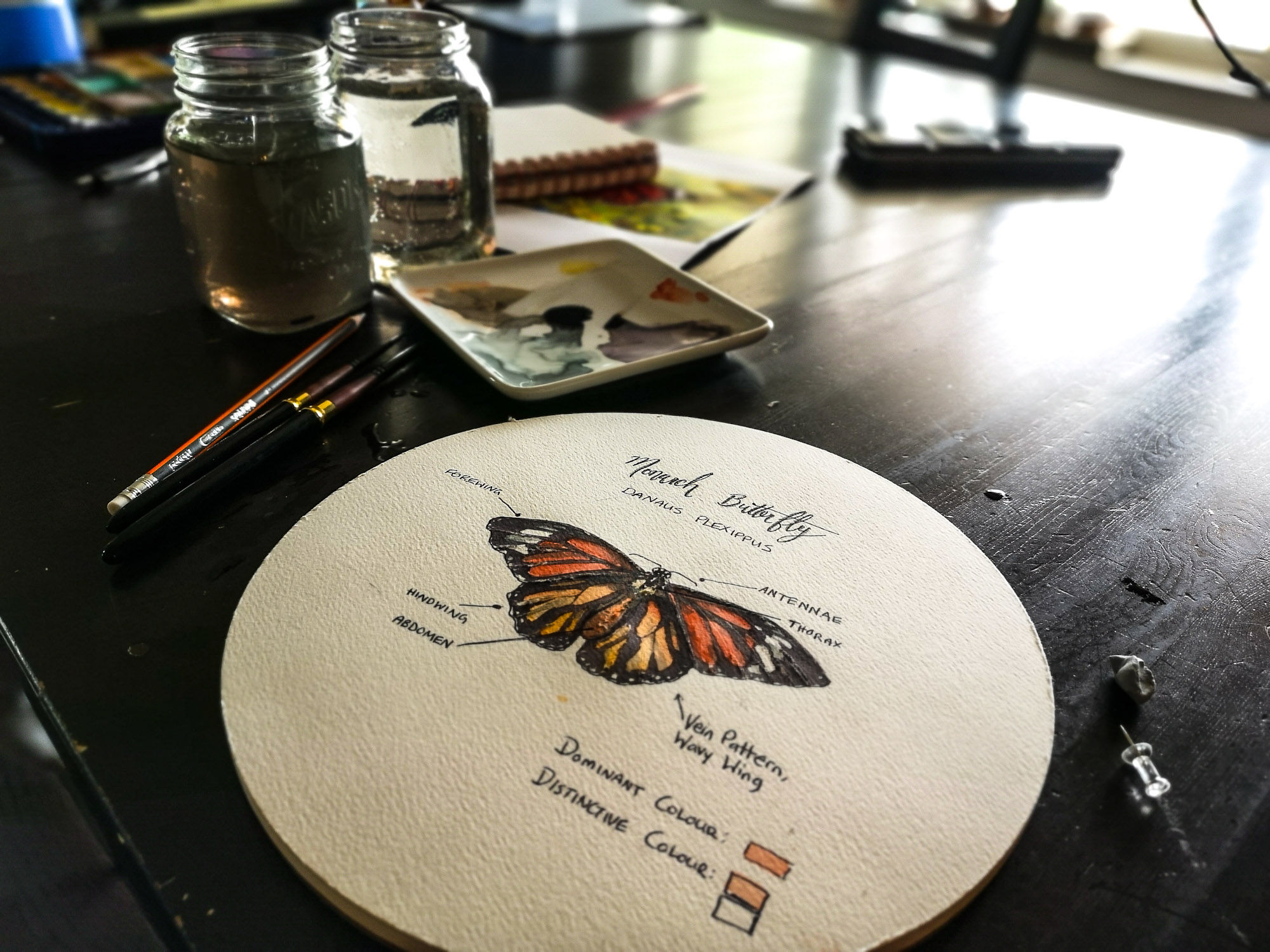 Monarch Butterfly Watercolor Art Tutorial