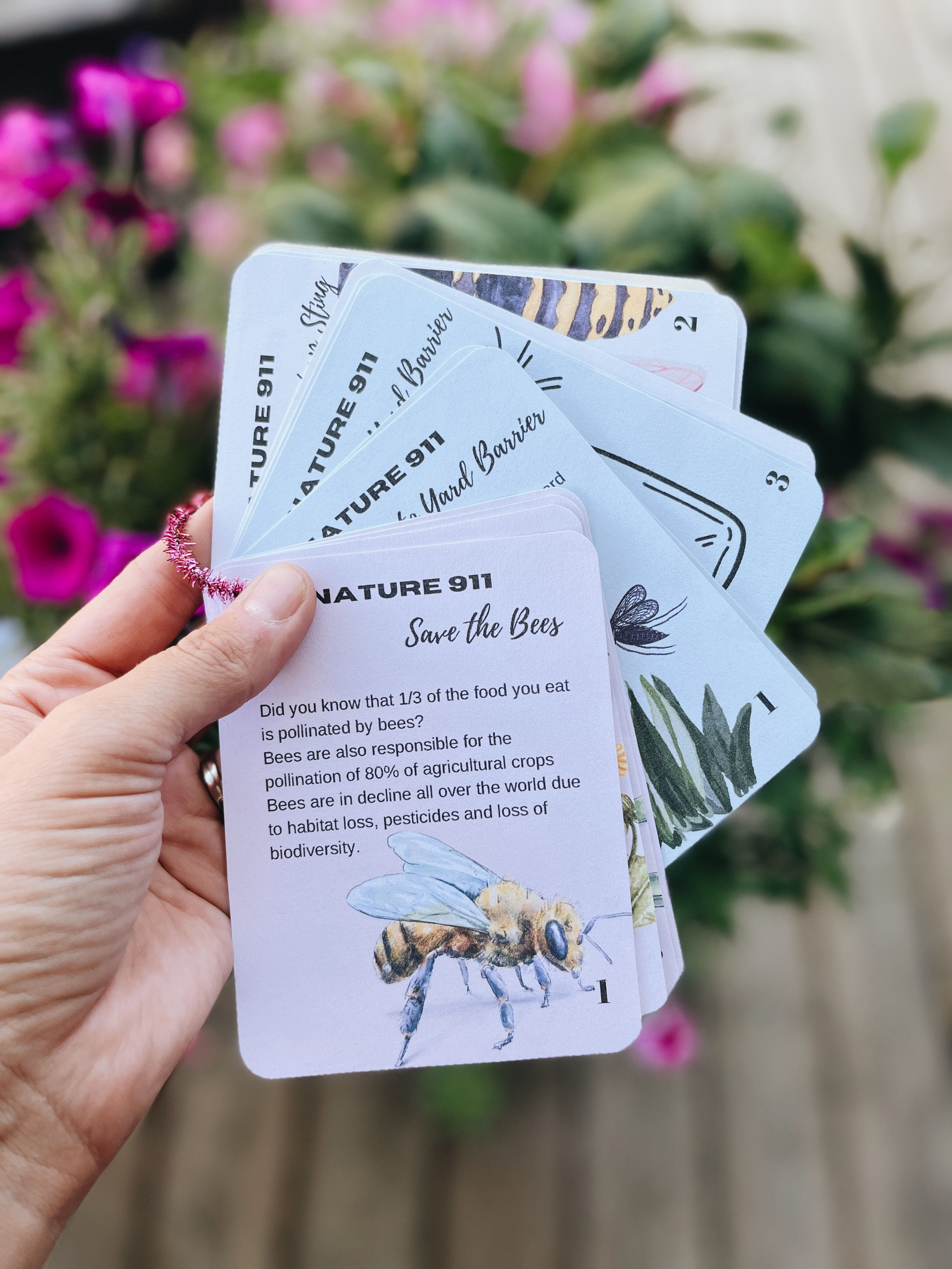 Nature 911 - Insects