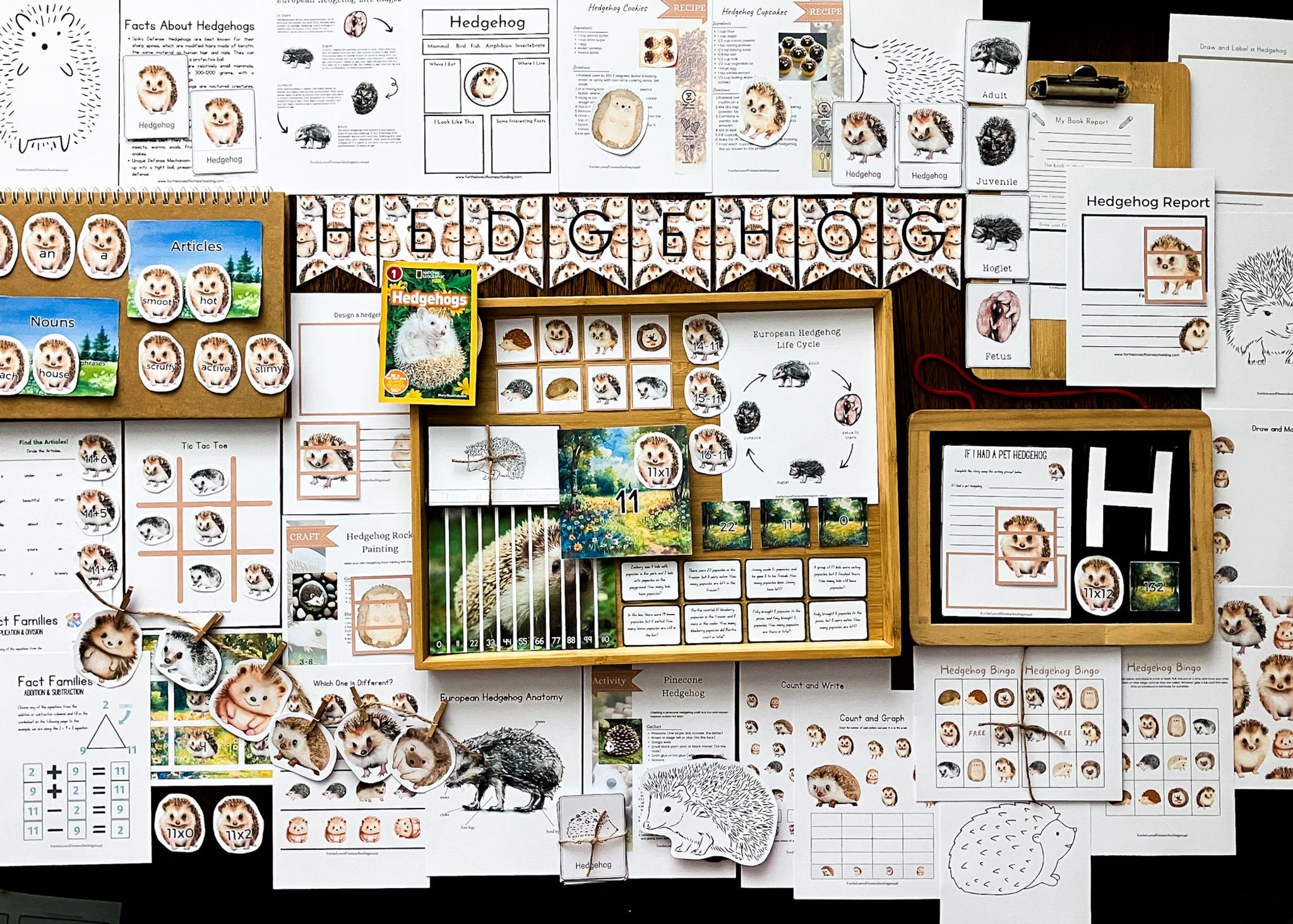 11. Hedgehogs Week - 12 Weeks of Fall