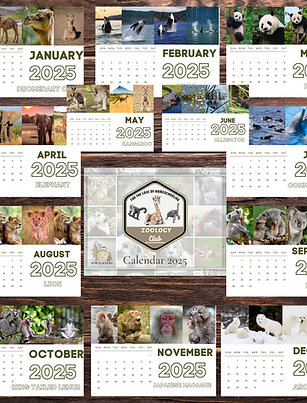 2025 Zoology Club Wall Calendar