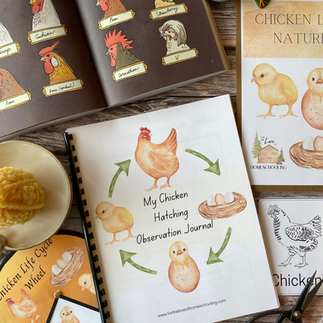 Chicken Observation Journal