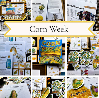 Corn Unit