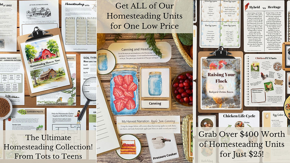 Homesteading Bundle