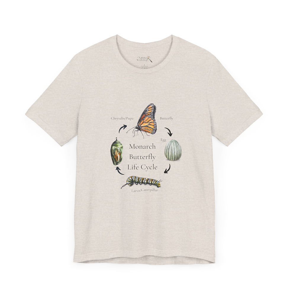 Thumbnail: Adult Monarch Life Cycle Unisex Jersey Short Sleeve Tee