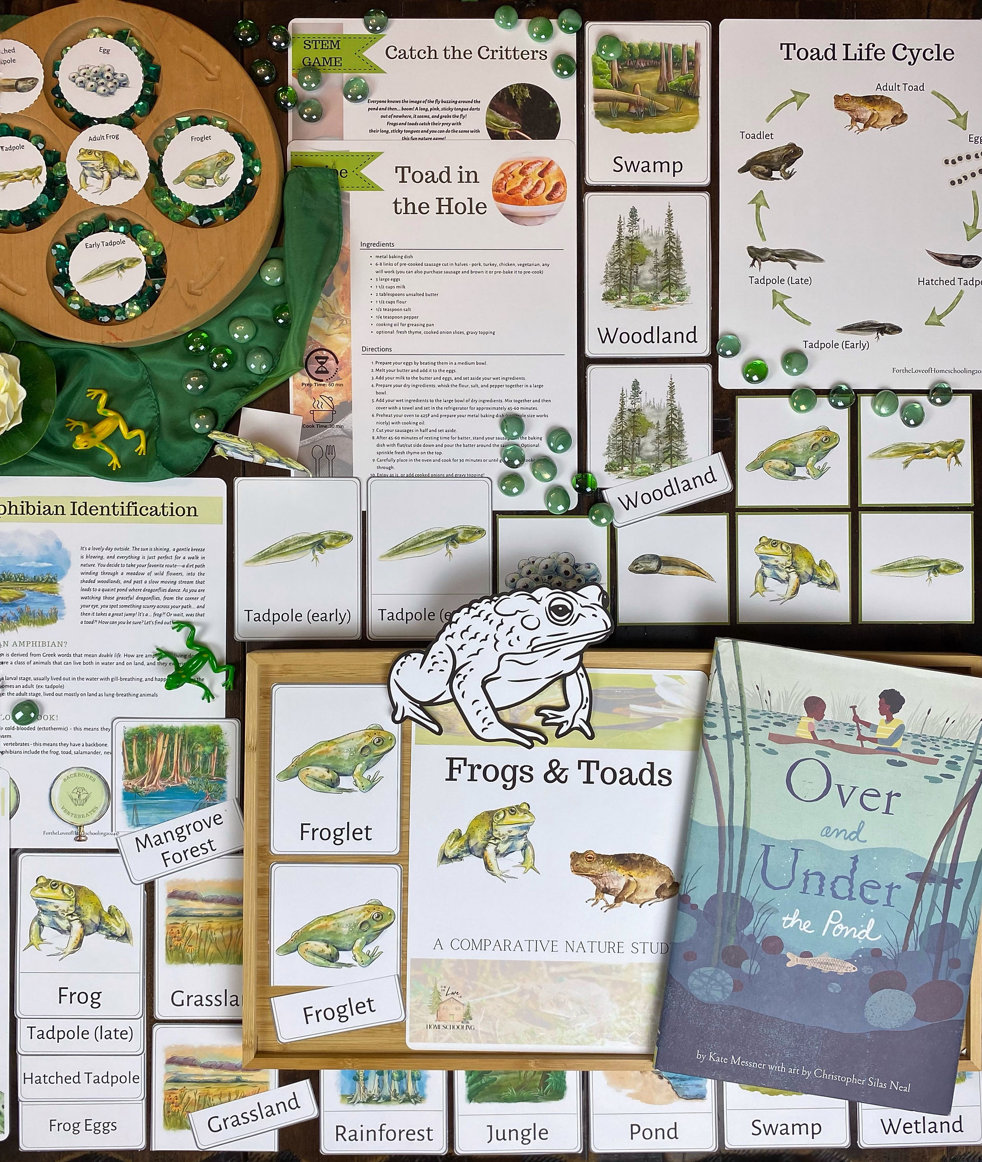 Frog Vs. Toad Unit