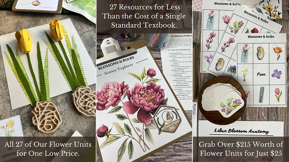Flower Bundle